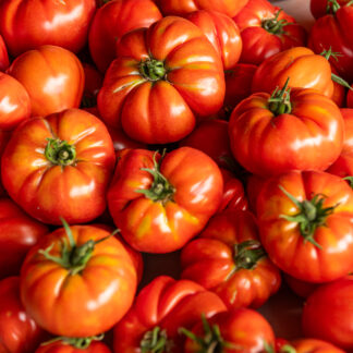 Tomate Cœur de bœuf