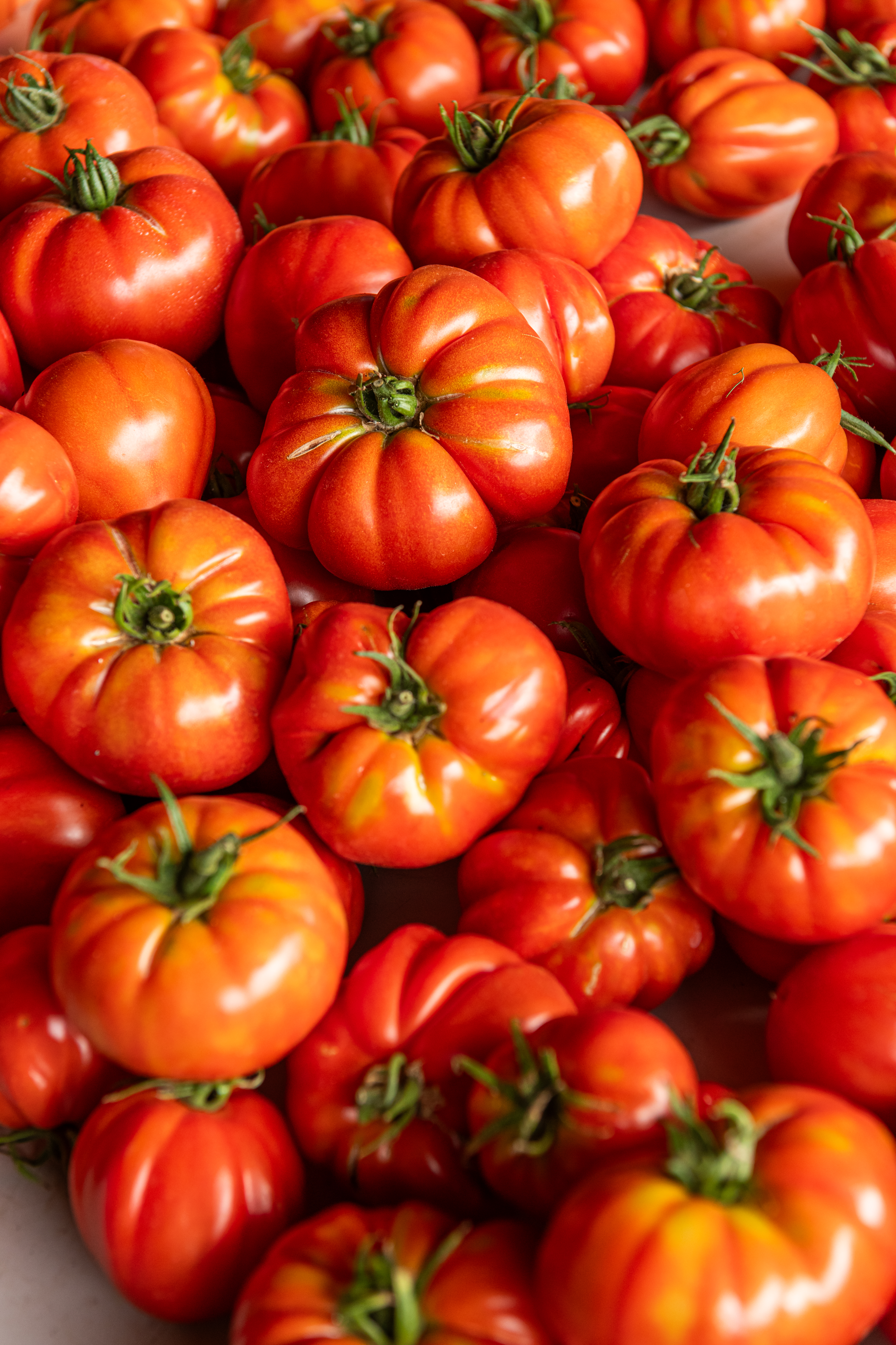 Tomate Cœur de bœuf