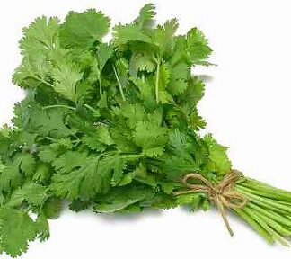 Coriandre