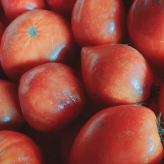 Tomate déclassée