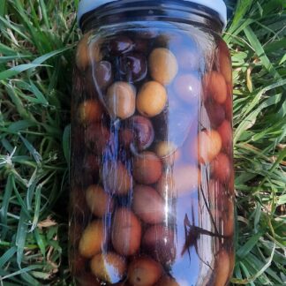 Olive de Carros 500gr